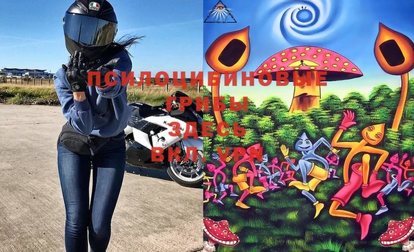 бошки Надым