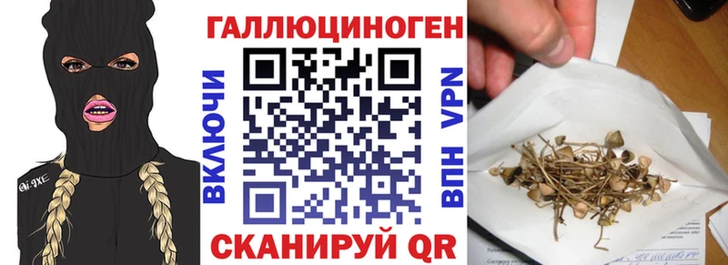Купить закладки  Туран  Галлюциногенные грибы Cubensis 